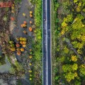 篮球培训机构店庆方案最新2025羽毛球赛事赛程表28188足球资讯网51体育直播在线观看